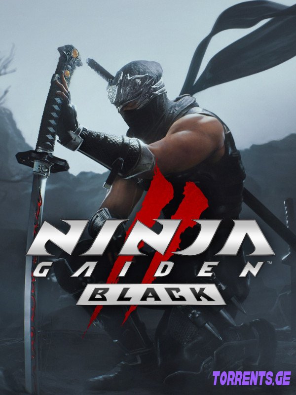 NINJA GAIDEN 2 Black | Portable